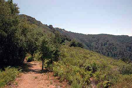 Mill Creek 032.jpg